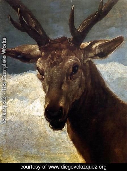 Velazquez - Head of a Stag 1626-27