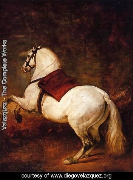 Velazquez - The White Horse