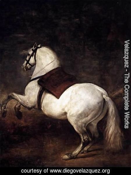 Velazquez - A White Horse 1634-35