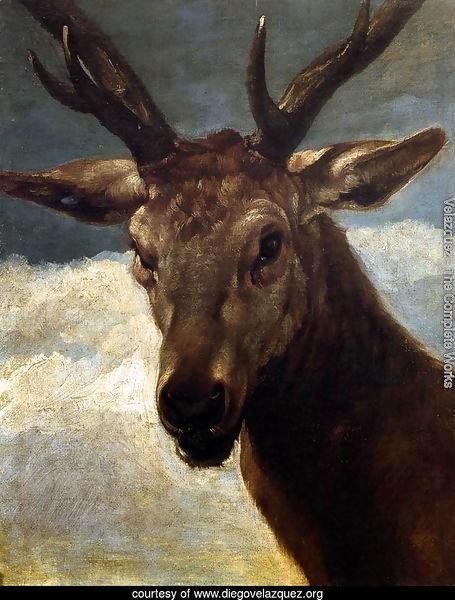 Head of a Stag 1626-27